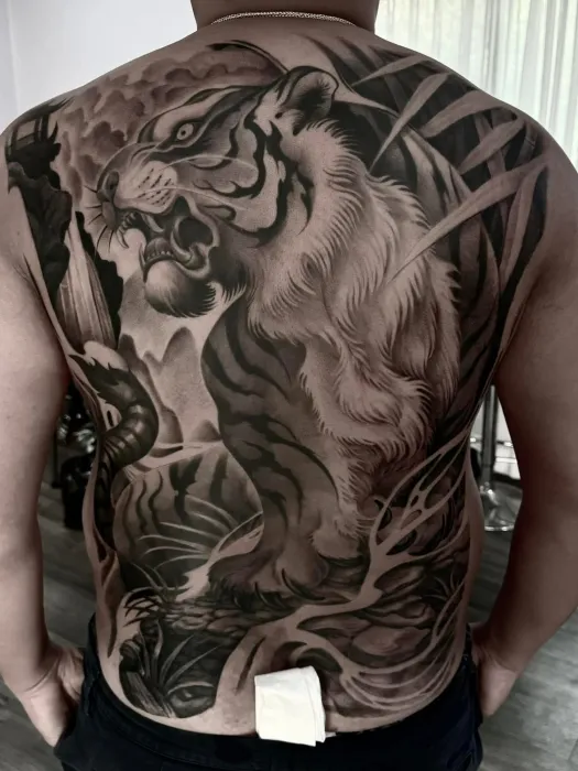 เต็มหลังลายเสือ