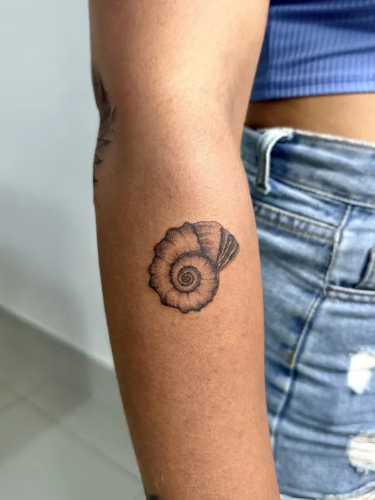 ลายเปลือกหอย