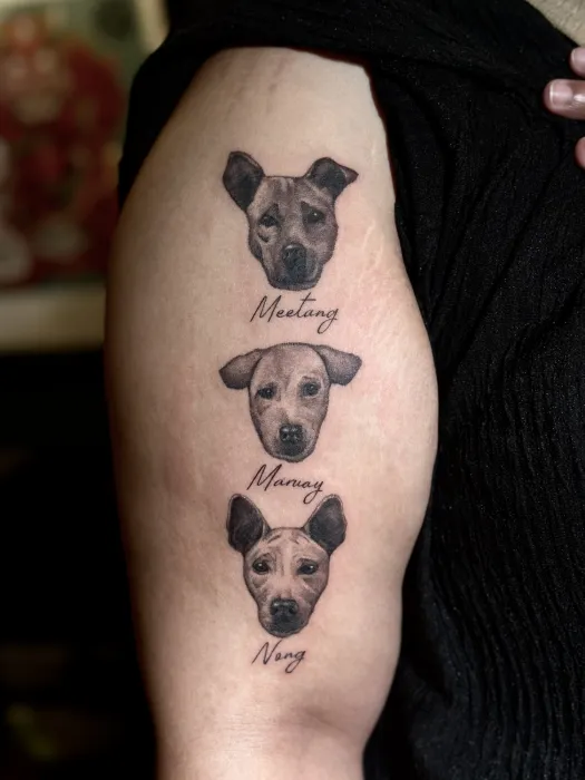 Three dog portraits with names
